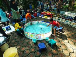 Bandung City, West Java, Indonesia. 19 October 2023. Bright mornings days on weekends, happy childhoods, playing in city parks. Family gathering making fun with children. photo