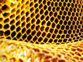 abstract background textured. Honeycomb texture. Selective focus. photo