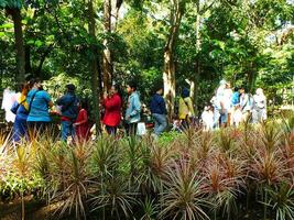 Bandung City, West Java, Indonesia. 19 October 2023. Family gathering with full of fun and happiness at the week end in the bright morning. Out door park full of people activity. photo