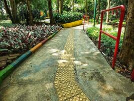 Paths in the Park zone. Park landscape. Stone path way in park. Landscaping, the path in the garden. photo