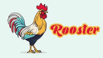 Educational animation introduction to animal names, Rooster animal 4k resolution. video