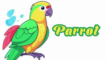 Educational animation introduction to animal names, Parrot animal 4k resolution. video