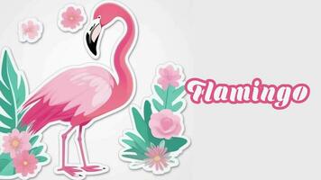 leerzaam animatie invoering naar dier namen, flamingo dier 4k oplossing. video