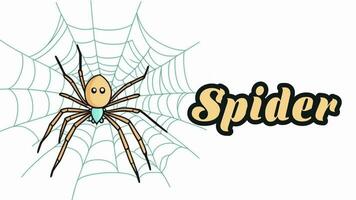 Educational animation introduction to animal names, Spider animal 4k resolution. video