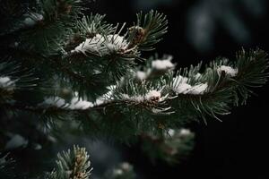 ai generado un cerca arriba de un pino árbol con nieve en eso foto