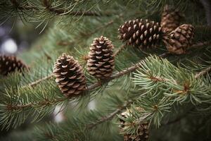 AI generated several pine cones are on a branch photo
