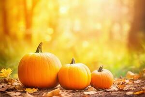 ai generado Tres calabazas en el suelo en frente de un bosque foto