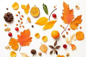 AI generated autumn leaves and fruits arranged in a circle on a white background photo