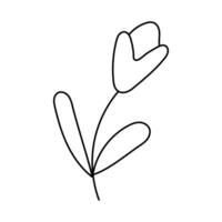 tulipán. vector ilustración en garabatear estilo