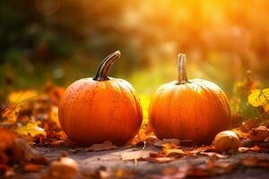 AI generated two pumpkins sitting on the ground in the sun photo