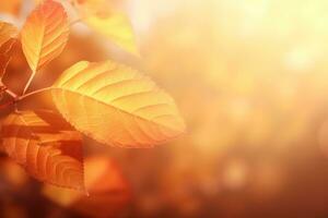 ai generado otoño hojas en un árbol con luz de sol foto