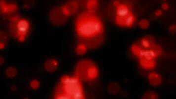 abstrait rouge flou vacances Contexte avec magique bokeh de embrasé brillant lumière énergie petit particules de en volant points sur une noir Contexte video