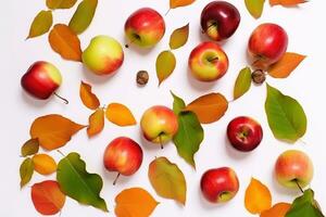 AI generated apples and leaves on a white background photo