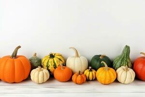 a row of pumpkins and gourds on a white background photo