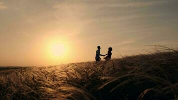 silueta de un Pareja en un dorado campo y un hermosa puesta de sol. un joven y romántico familia es disfrutando. un hombre sostiene un mujer en su brazos con amor en un verano noche. personas son hablando y abrazando video