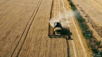 Aerial shot of combine loading off corn grains into tractor trailer. Agricultural machines working in farmland during harvesting. Farming concept. Top view. High quality 4k footage video