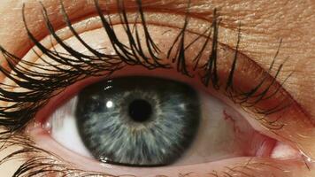 gris femelle œil proche en haut extrême macro Zoom 4k. globe oculaire dans ophtalmologie ou optométrie pour œil examen ou traitement Zoom. médical présence à le optométriste dans une brillant moderne clinique. œil examen. video