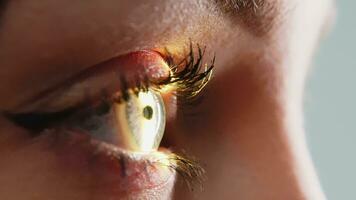 Auge Iris und Schüler Makro. reflektiert ziehen um Licht Strahlen in das Mensch Auge mit Zoomen. schließen hoch. das Konzept von Augenheilkunde und Medizin. medizinisch Teilnahme beim das Optiker im ein hell modern Klinik video