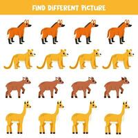 Find different South American animal in each row. Logical game for preschool kids. vector