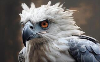 AI generated AHarpy Eagle bird photo