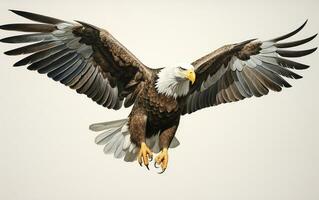 ai generativo calvo águila pájaro fotografía foto