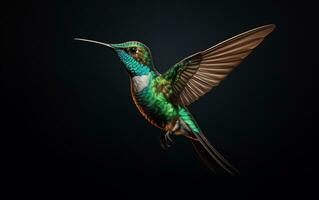 AI Generative Hummingbird Natural animal illustration photography photo