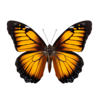 AI generated Colored butterfly clip art png