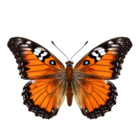 AI generated Colored butterfly clip art png