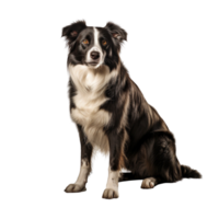 ai gegenereerd hond staand klem kunst png