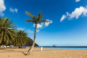 Perfect sandy beach in hot summer day photo