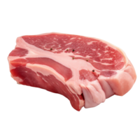 AI generated Raw beef stake clip art png