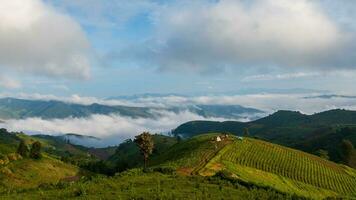 Mae Tho view point with mountains and fog in the morning at Chiang mai, Thailand photo