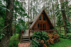 Triangular house built from wood in the forest in the rainy season photo