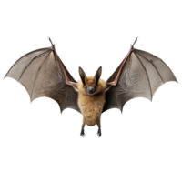 ai généré chauve souris agrafe art png