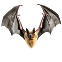 AI generated Bat clip art png