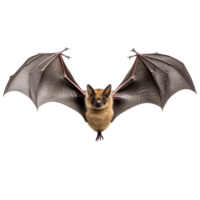 ai généré chauve souris agrafe art png