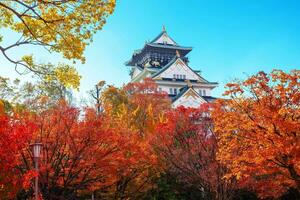 osaka, Japón - 21 nov 2018 - Osaka castillo en Osaka ciudad con otoño hojas foto