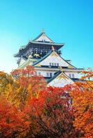 osaka, Japón - 21 nov 2018 - Osaka castillo en Osaka ciudad con otoño hojas foto