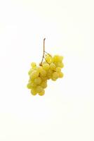 food photo, grape white background, a single grape photo