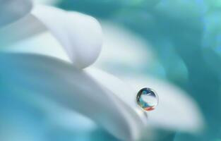 Beautiful Nature Background, Beautiful shiny dew water drop on dandelion seed in nature macro, Soft selective focus, Beautiful Macro Shot of Magic Flowers, Wallpaper, water drop. photo