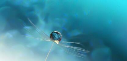 Beautiful Nature Background, Beautiful shiny dew water drop on dandelion seed in nature macro, Soft selective focus, Beautiful Macro Shot of Magic Flowers, Wallpaper, water drop. photo