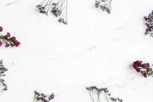 Christmas composition. Fir tree branches, red decorations on gray background, Flowers composition. White and purple flowers on marble background, Eucalyptus leaves, winter, top view. Christmas gift. photo