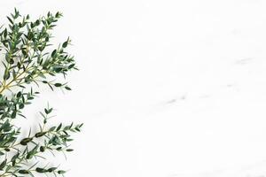 Christmas composition. Fir tree branches, red decorations on gray background, Flowers composition. White and purple flowers on marble background, Eucalyptus leaves, winter, top view. Christmas gift. photo