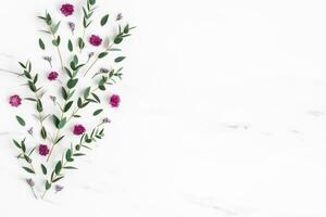 Navidad composición. abeto árbol sucursales, rojo decoraciones en gris fondo, flores composición. blanco y púrpura flores en mármol fondo, eucalipto hojas, invierno, parte superior vista. Navidad regalo. foto