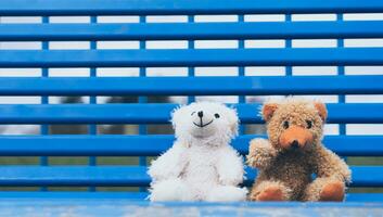 Two Teddy Bear sitting on bench,Valentine's Day Background, Cute White and Brown Bear with smiling face sitting together at the park, Concept for love and relationship photo