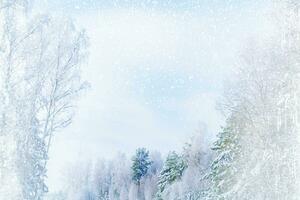 paisaje. bosque de invierno congelado con árboles cubiertos de nieve. foto