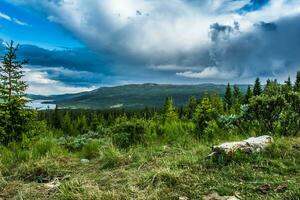 Rough wooden benches made of logs, against the background of a mountains photo