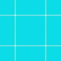 Plaid seamless pattern. Check fabric texture. Vector textile print.