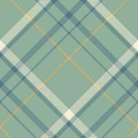 Plaid pattern vector. Check fabric texture. Seamless textile design for clothes, paper print. vector