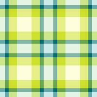 Fabric pattern textile of seamless texture vector with a background tartan plaid check.